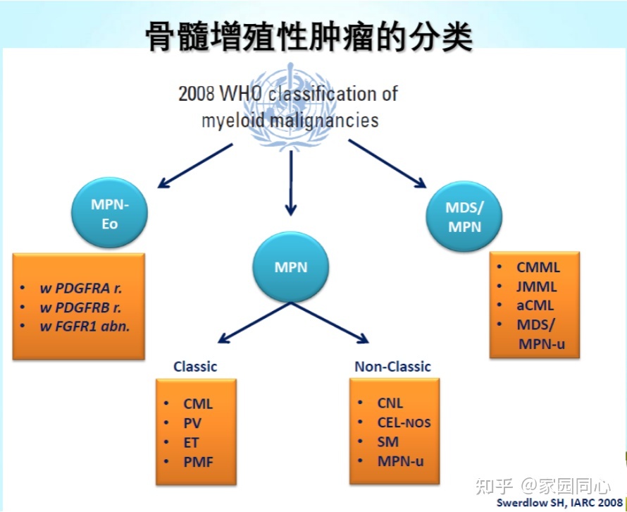 一文了解骨髓增殖性肿瘤（MPN）的前世今生