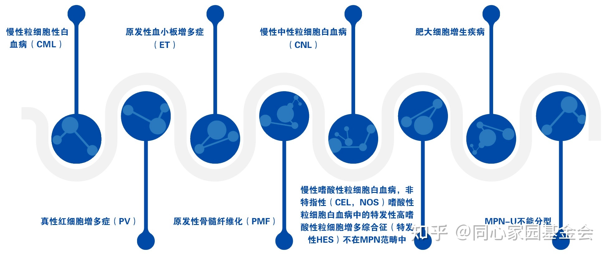 专家讲座 | 真性红细胞增多症（PV）的概述及最新进展（上）