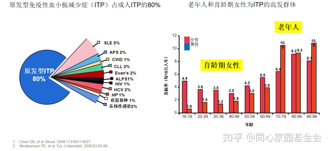 专家讲座 | ITP患者必读，周泽平教授带您解读治疗全方案