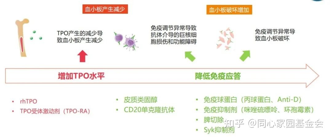 专家讲座 | ITP患者必读，周泽平教授带您解读治疗全方案