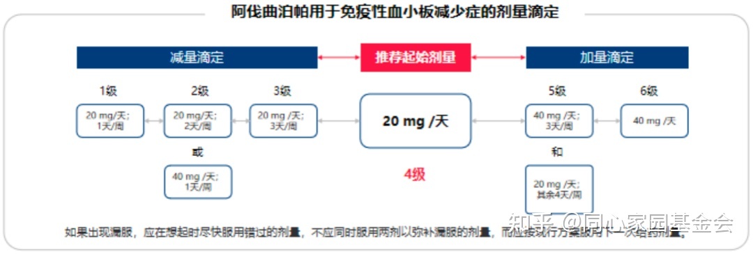 专家讲座 | ITP患者必读，周泽平教授带您解读治疗全方案