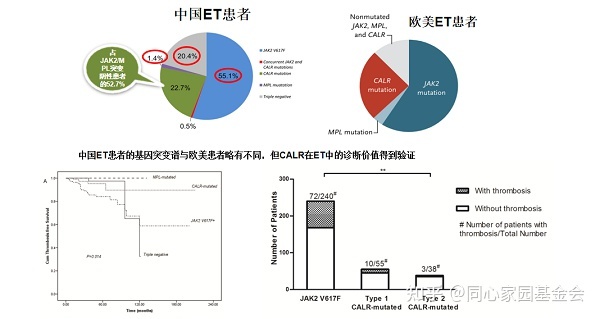 专家讲座 | 张磊教授带您了解原发性血小板增多症的诊断与治疗（上）