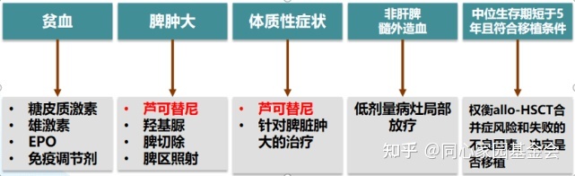 原发性骨髓纤维化的诊治与进展（下）