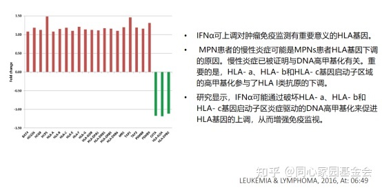 专家讲座 | 骨髓增殖性肿瘤（MPN）的免疫微环境与长效干扰素的治疗机制