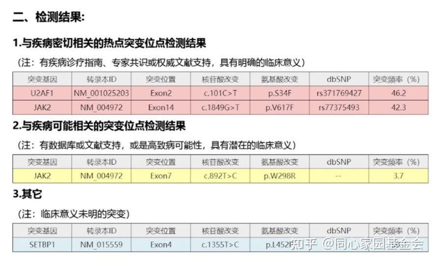 一例早期原发性骨髓纤维化的诊断历程