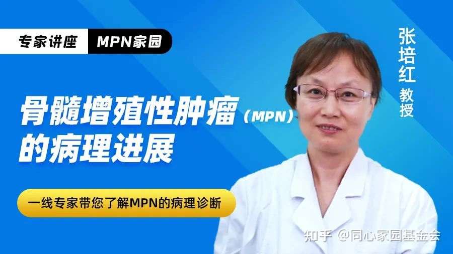 专家讲座｜张培红教授：骨髓增殖性肿瘤（MPN）的病理展望