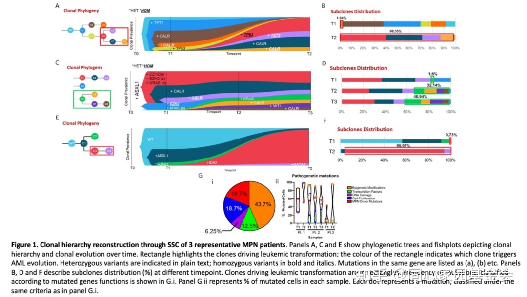 【Best of ASH】#56：单细胞突变分析描述骨髓增殖性肿瘤白血病转化的克隆构造