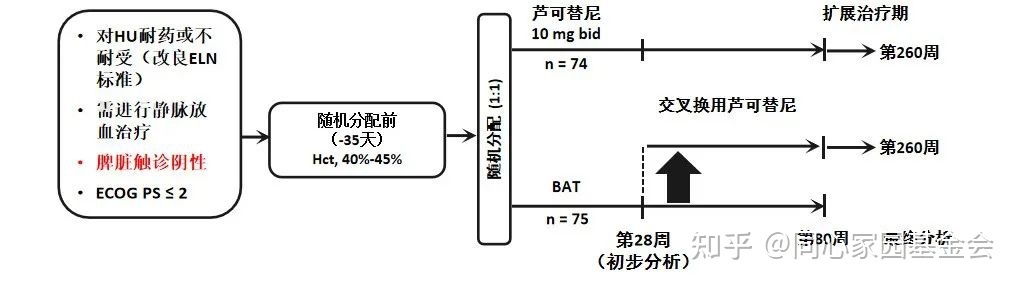 专家讲座 | 真性红细胞增多症（PV）的概述及最新进展（下）