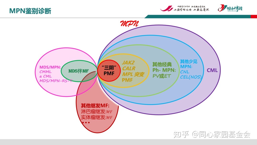 徐泽锋教授专题讲座：骨髓增殖性肿瘤（MPN）鉴别和诊断