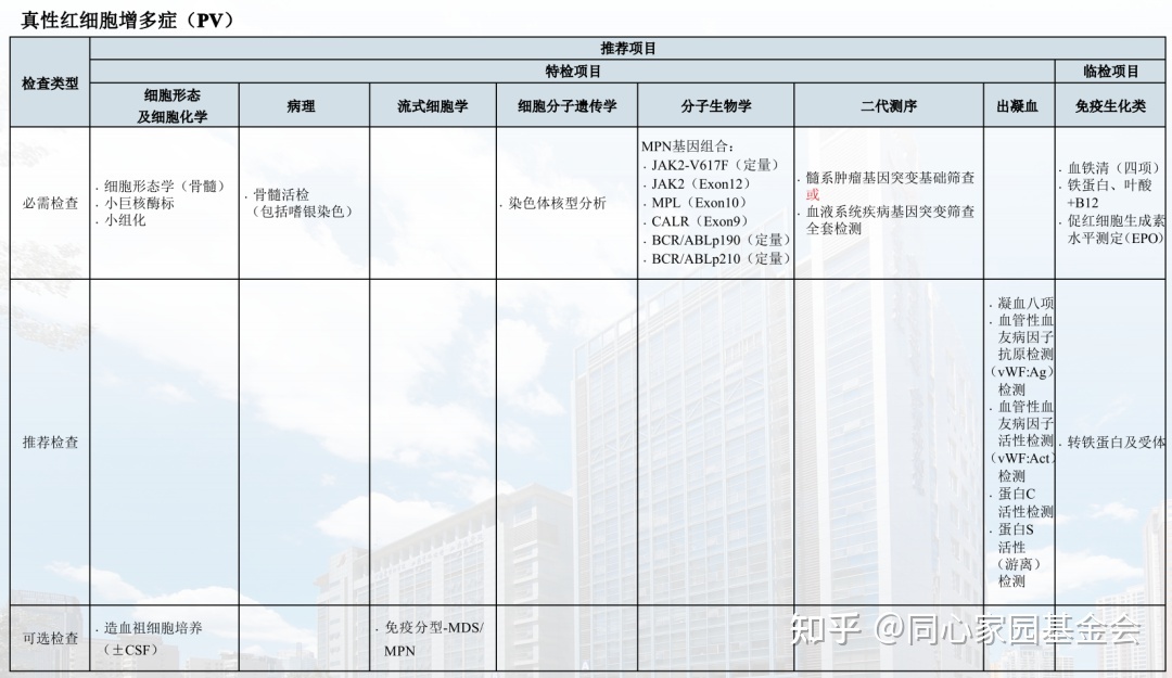 徐泽锋教授专题讲座：骨髓增殖性肿瘤（MPN）鉴别和诊断