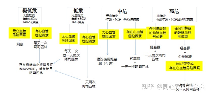 专家讲座 | 张磊教授带您了解原发性血小板增多症的诊断与治疗（下）