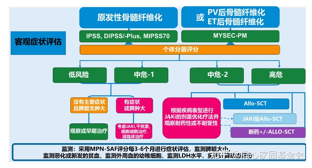 专家讲座 | 张磊教授带您了解原发性血小板增多症的诊断与治疗（下）