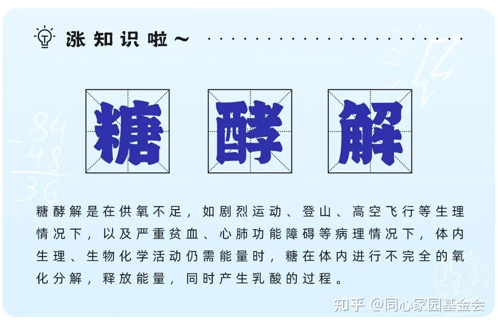 认识检查 | 乳酸脱氢酶（LDH）——普通又熟悉的生化指标，你了解多少呢？