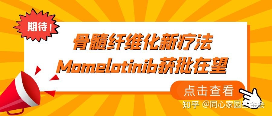 期待！骨髓纤维化新疗法Momelotinib获批在望