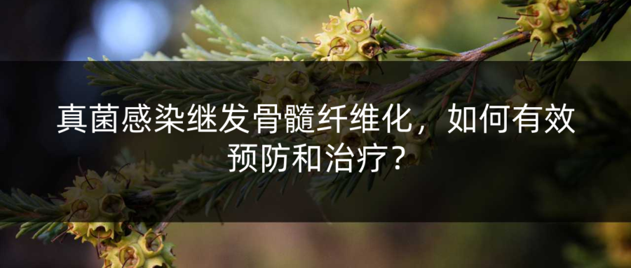 真菌感染繼發骨髓纖維化,如何有效預防和治療?