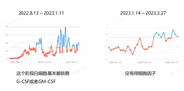 专家讲座 | 高晓东教授：原发性骨髓纤维化（PMF）全程管理的病例分享