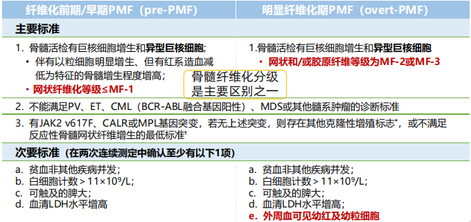 专家讲座丨陈春燕教授：骨髓纤维化（MF）的诊断和治疗