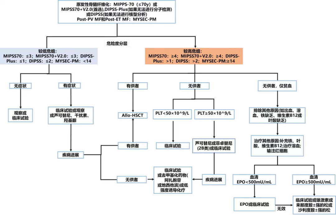 专家讲座丨陈春燕教授：骨髓纤维化（MF）的诊断和治疗