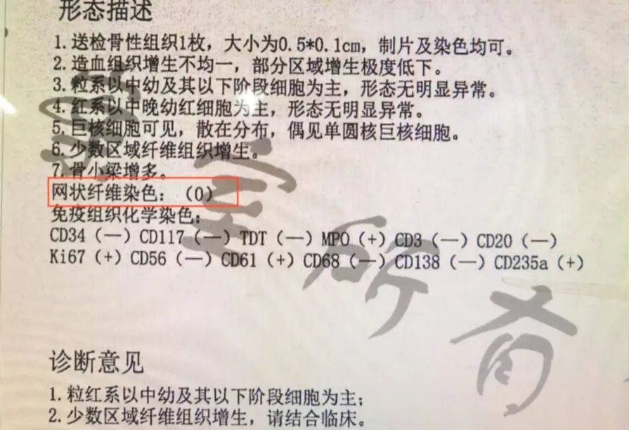 专家讲座｜赵苗苗博士：一例原发性血小板增多症后骨髓纤维化（Post-ET-MF）的病例分享