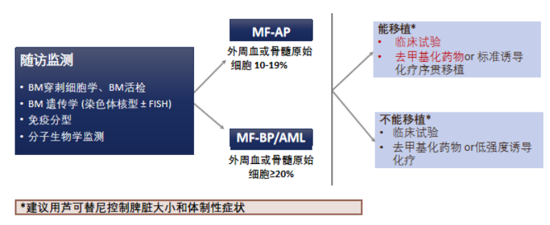 专家讲座 | 杨秀娣教授：Post-PV-MF的病例分享