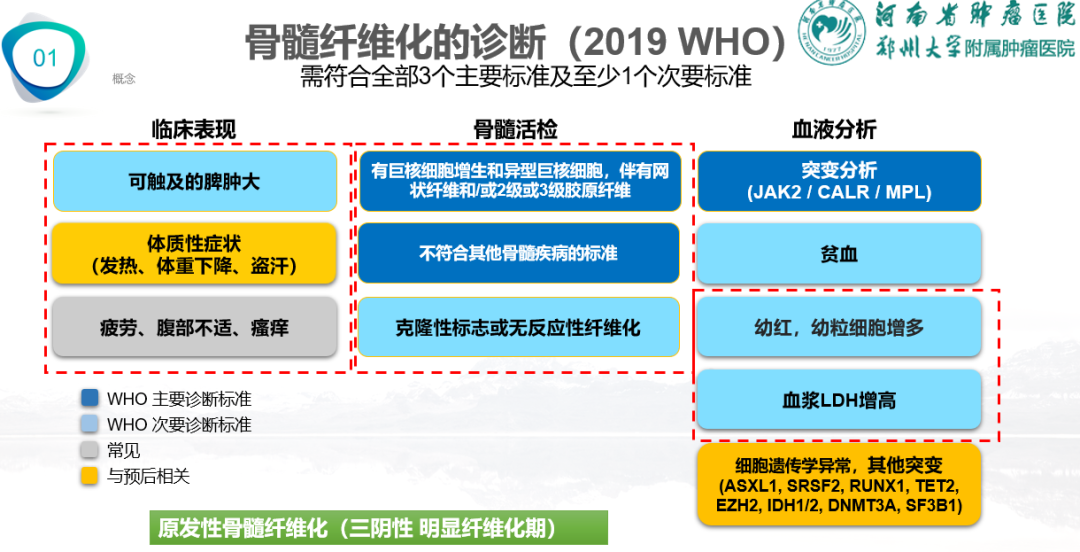 专家讲座 | 周虎教授：芦可替尼联合治疗加速期骨髓纤维化经验分享