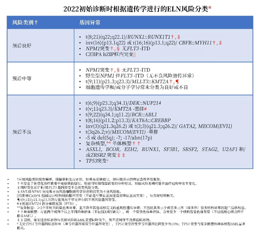 科普时间 | 如何判断急性髓系白血病预后危险度？