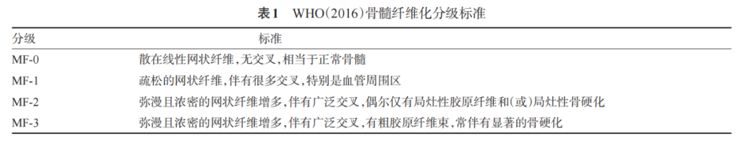 疾病指南丨原发性骨髓纤维化诊断与治疗中国指南(2019年版)