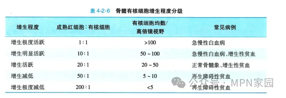 认识检查 | 骨髓活检报告如何看？