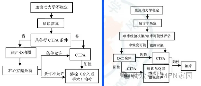 专家讲座 | 白洁教授分享MPN血栓风险防治