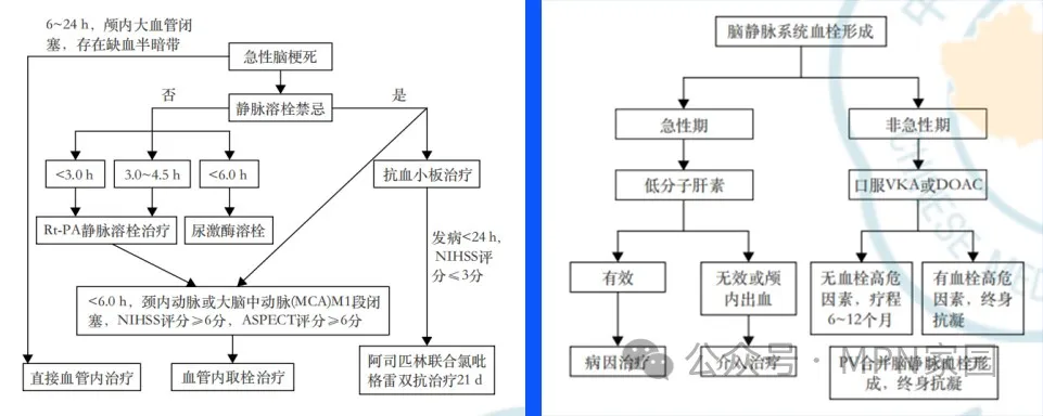 专家讲座 | 白洁教授分享MPN血栓风险防治