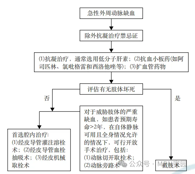 专家讲座 | 白洁教授分享MPN血栓风险防治