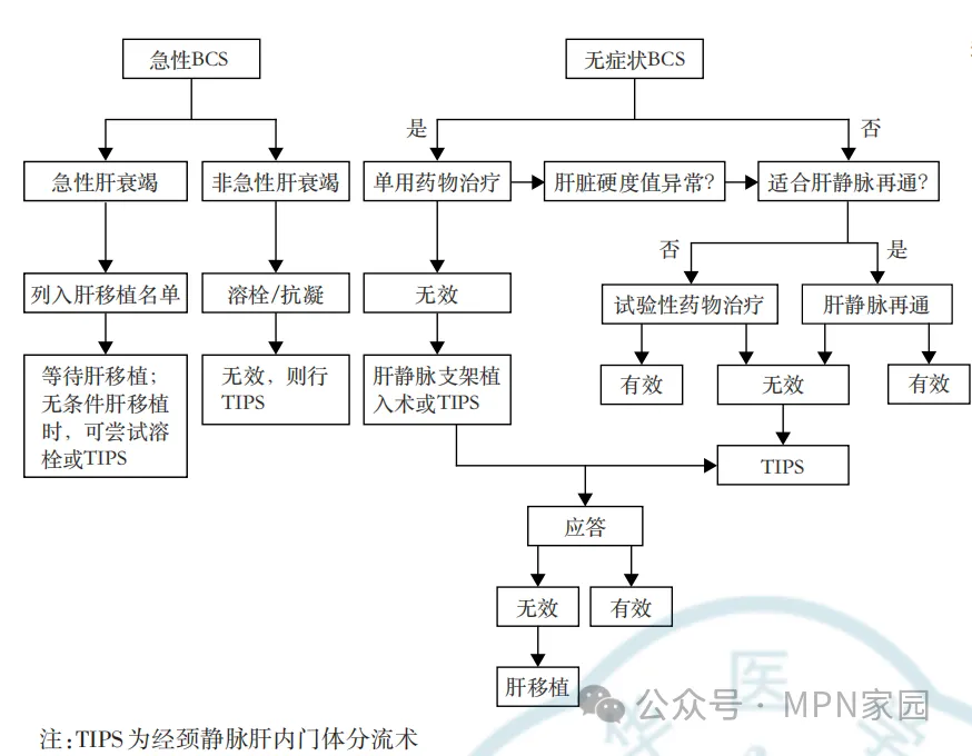 专家讲座 | 白洁教授分享MPN血栓风险防治