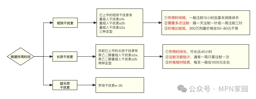 科普时间 | “干扰素”佳丽众多，MPN患者为何“独宠”我一人？