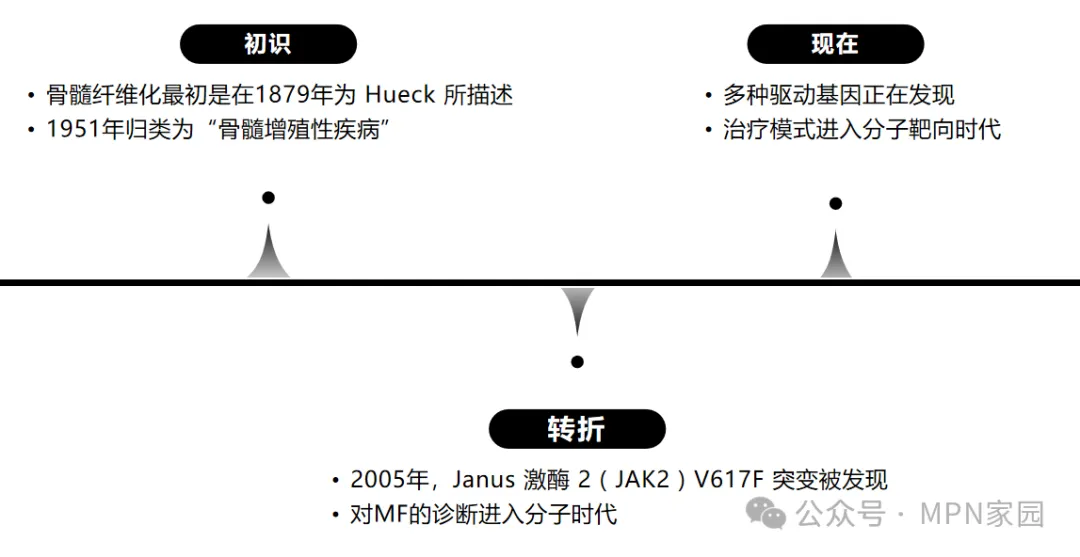 捷力呵护MF大咖谈 | “微光下的爱与希望”——让血液大咖为您揭秘骨髓纤维化治疗的曲折与奥秘