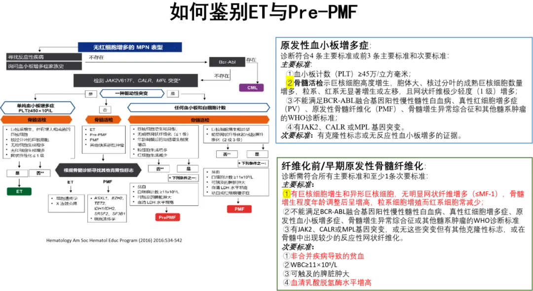 专家讲座 | 张磊教授分享原发性血小板增多症（ET）的诊治进展  ——ET的临床表现、预后判断及治疗进展