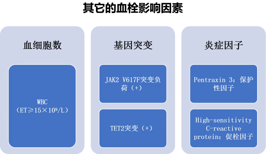 专家讲座 | 张磊教授分享原发性血小板增多症（ET）的诊治进展  ——ET的临床表现、预后判断及治疗进展