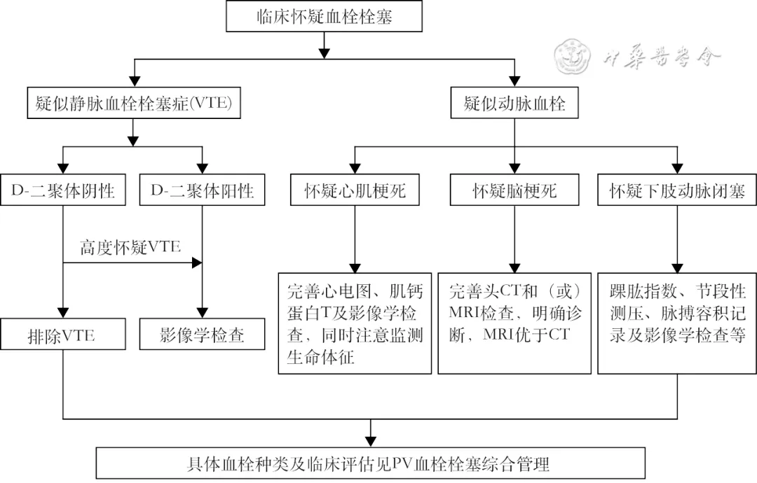 指南共识 | 真性红细胞增多症血栓栓塞综合管理中国专家共识