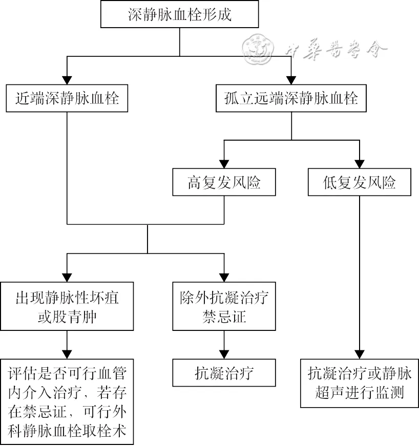 指南共识 | 真性红细胞增多症血栓栓塞综合管理中国专家共识