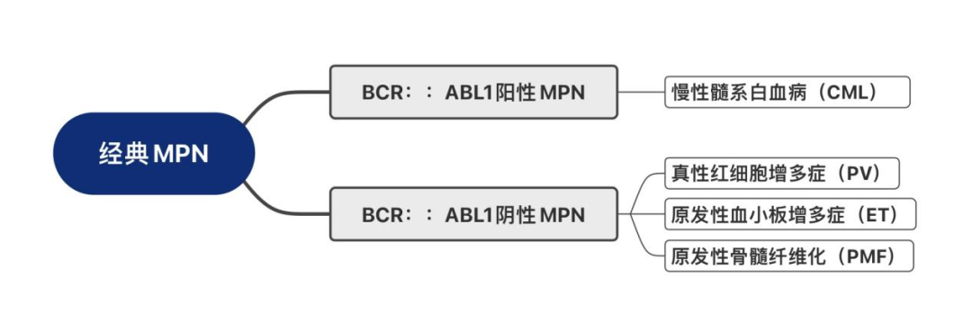 科普时间 | MPN驱动基因解析：MPL基因是什么？