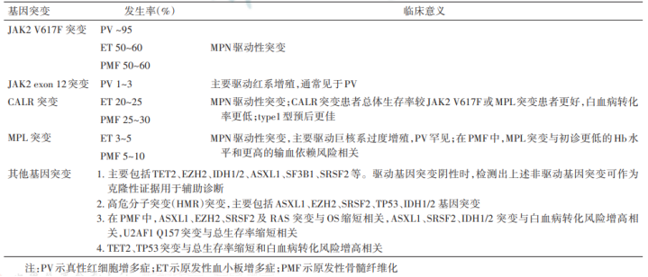 认识检查 | 三阴MPN如何确诊？基因检测必不可少