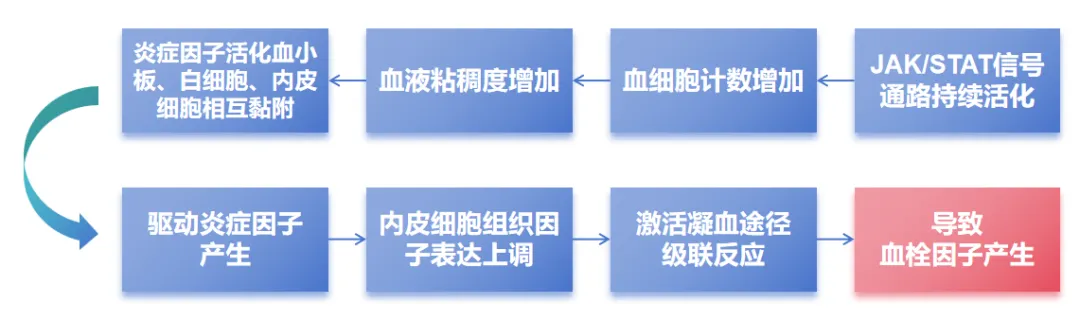 科普时间 | MPN也需要抗炎吗？炎症与MPN之间的复杂关系大起底