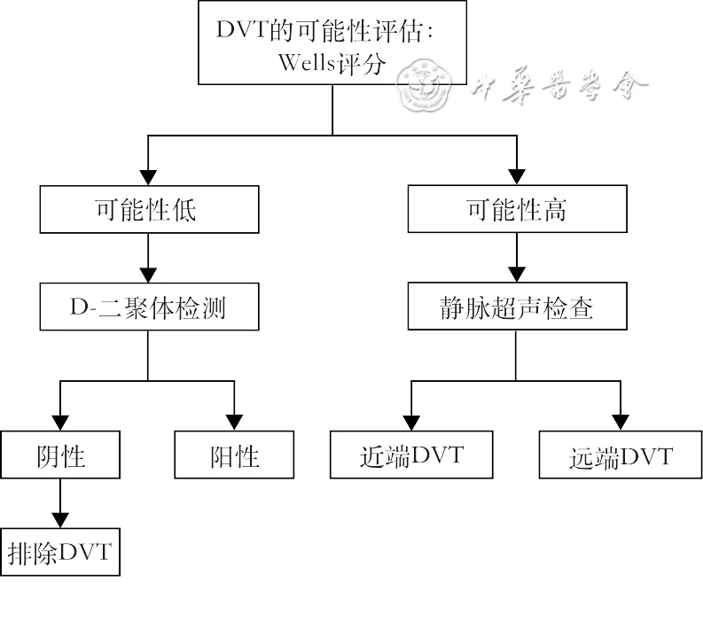 指南共识 | 真性红细胞增多症血栓栓塞综合管理中国专家共识