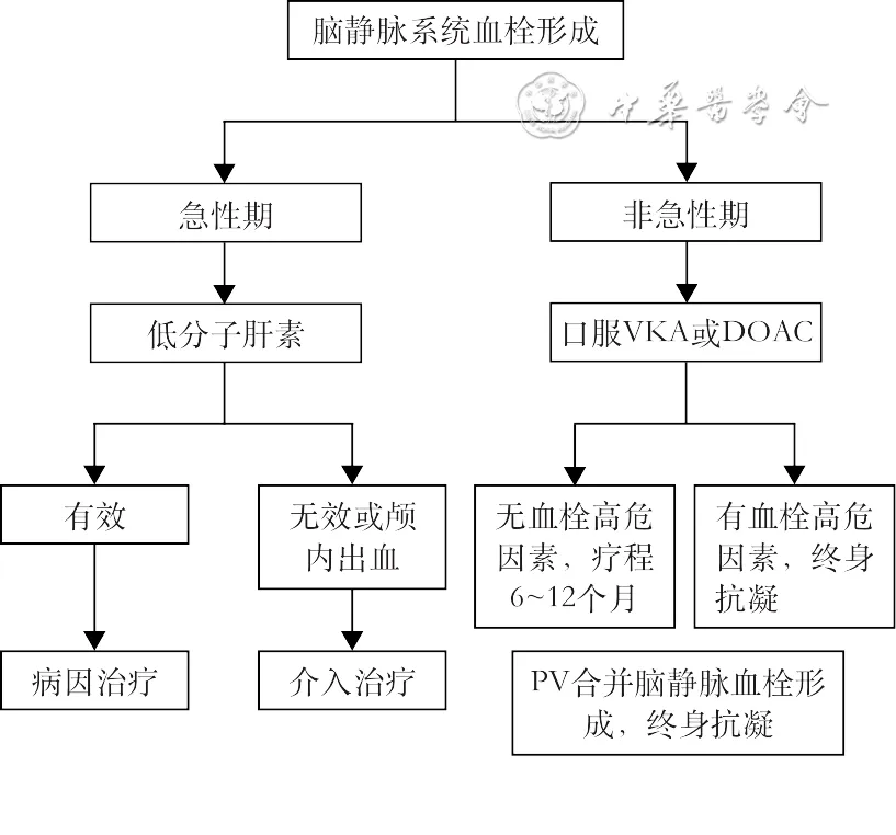 指南共识 | 真性红细胞增多症血栓栓塞综合管理中国专家共识