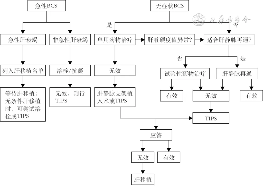 指南共识 | 真性红细胞增多症血栓栓塞综合管理中国专家共识