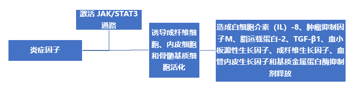 认识疾病 | 重视防治MPN向纤维化/白血病转化，才能有效延长生存期