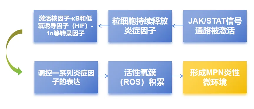 科普时间 | MPN也需要抗炎吗？炎症与MPN之间的复杂关系大起底