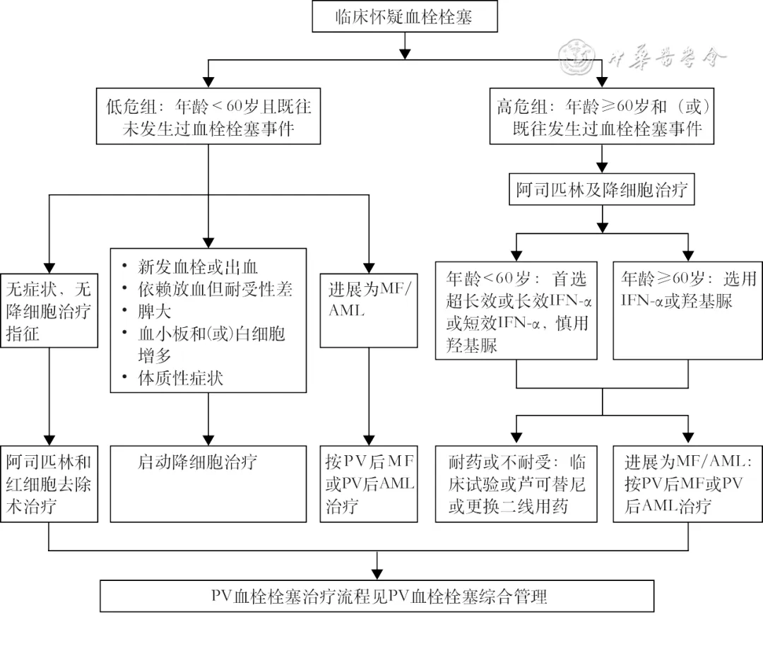 指南共识 | 真性红细胞增多症血栓栓塞综合管理中国专家共识