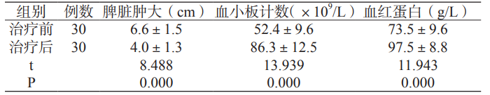 科普时间 | 沙利度胺联合疗法：原发性骨髓纤维化治疗新突破