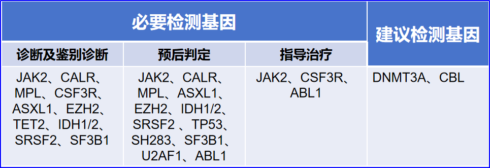 Q&A | MPN患者为什么一定要做基因检测？