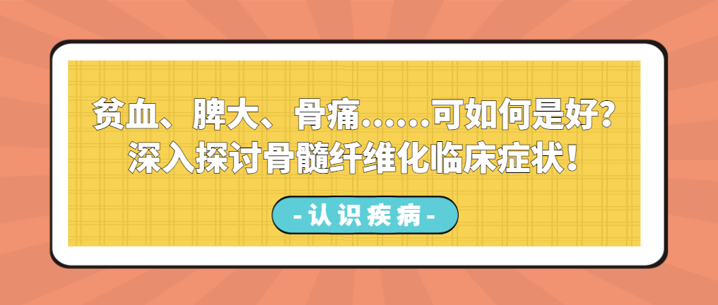 认识疾病 | 贫血、脾大、骨痛......可如何是好？深入探讨骨髓纤维化临床症状！